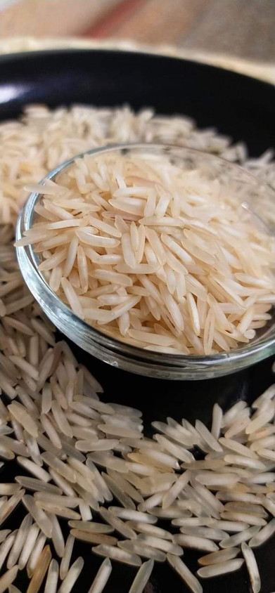 کائنات داگی چاول